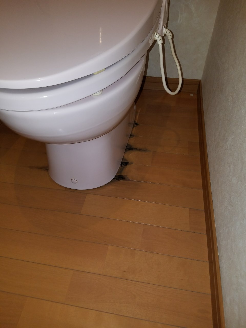 トイレ と 床 の 隙間 から 水 漏れ